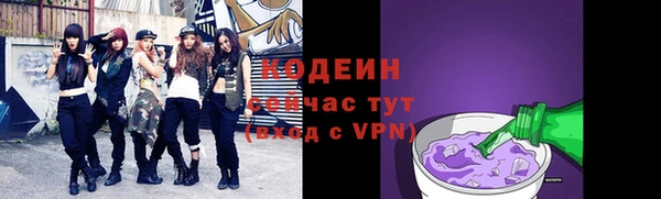 гашик Ладушкин
