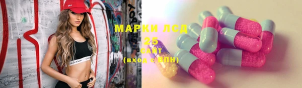 соль ск Лабытнанги