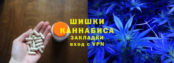 гашик Ладушкин