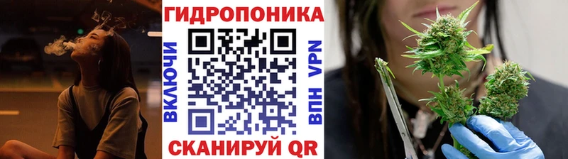 Бошки Шишки тримм Суджа